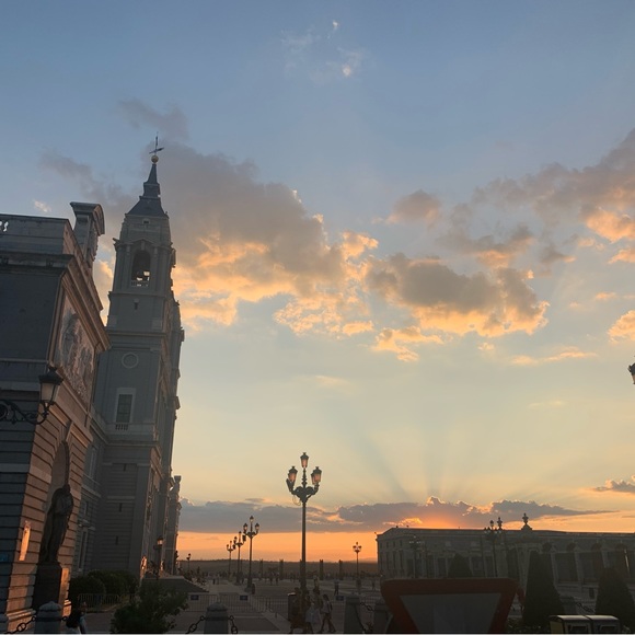 Meet your Posher, Elle - Picture 4 of 4